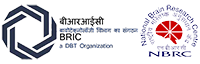 BRIC NBRC